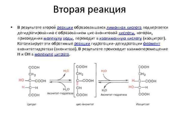 Кракен ссылка тор на сайт